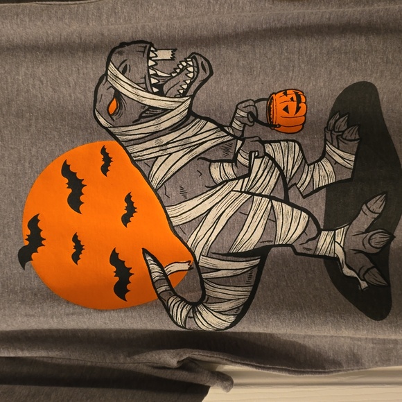 THEREABOUTS BOYS GRAY HALLOWEEN DINOSAUR SHORT SLEEVE TEE-SHIRT SIZE XXS 4/5 - Picture 3 of 10
